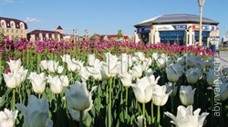 Парк Тысячелетия