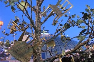 Стульчиковое дерево - Киев