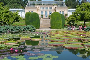 Зоопарк и ботанический сад Wilhelma - Stuttgart