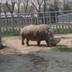 Киевский зоопарк - Киев